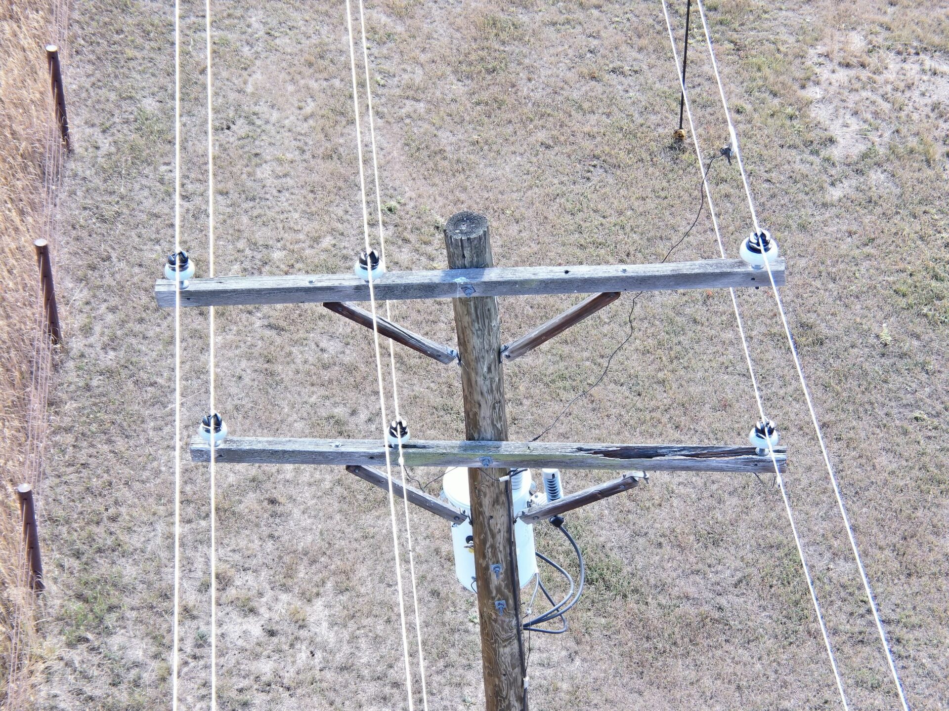 Cross-arm Rot: Drone View