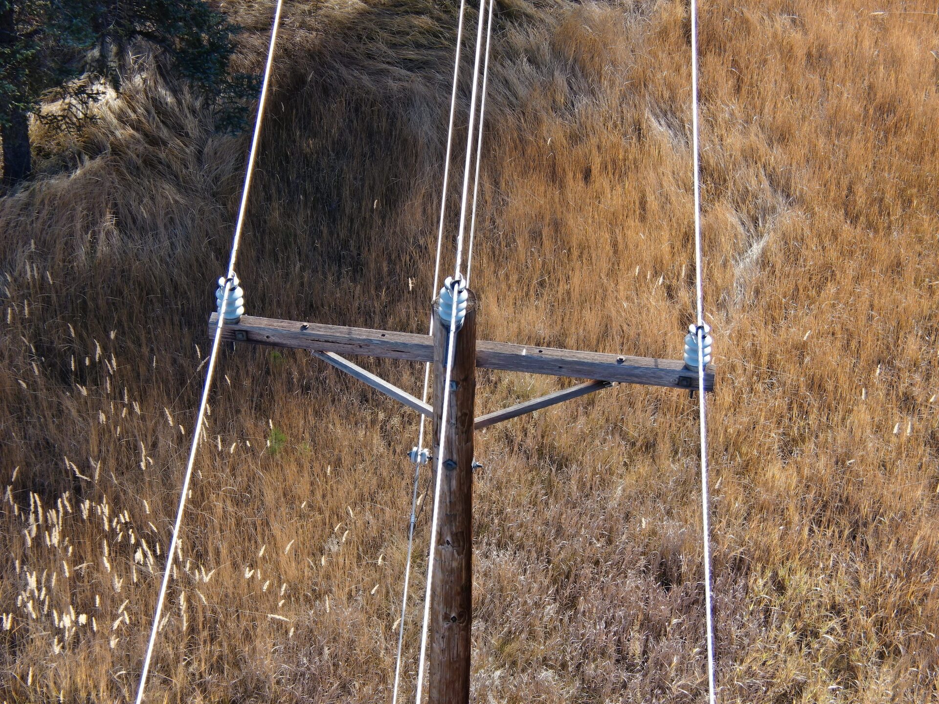 Aerial Intelligence UAS platform